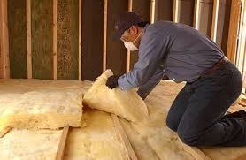 Best Eco-Friendly Insulation Solutions  in Winchester, NV