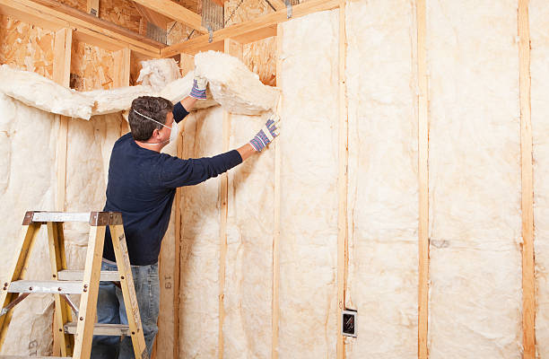 Best Soundproof Insulation  in Winchester, NV